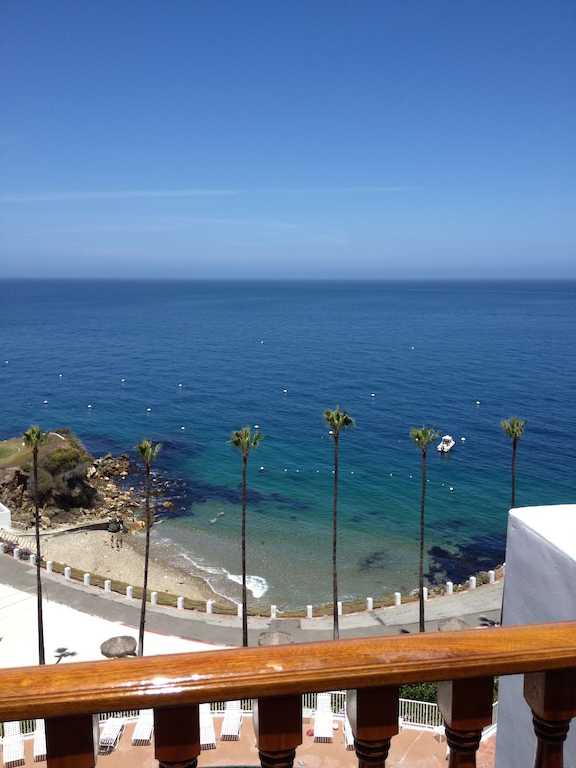 Ocean view over Hamilton Cove with palm trees