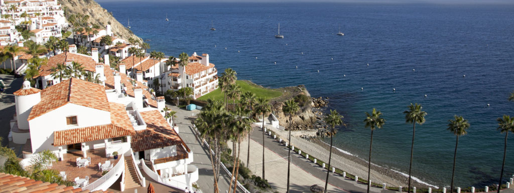 Hamilton Cove from above: white villas with tiled roofs on the hillside, palm trees along the shore road, the beach and boats on the open sea.