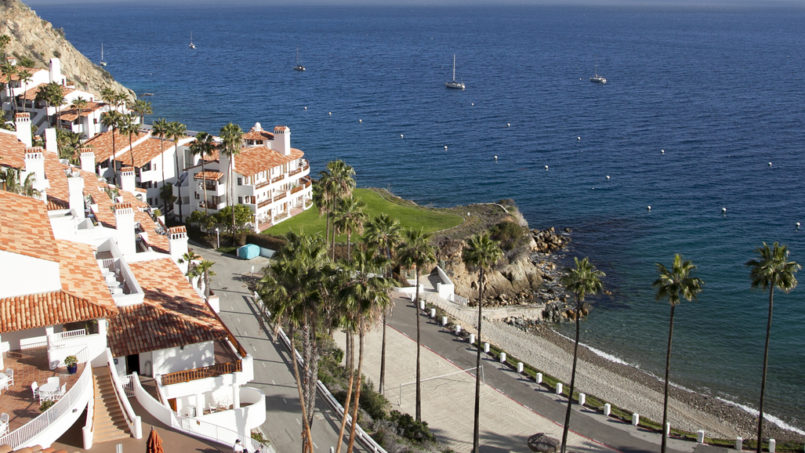 Hamilton Cove from above: white villas with tiled roofs on the hillside, palm trees along the shore road, the beach and boats on the open sea.